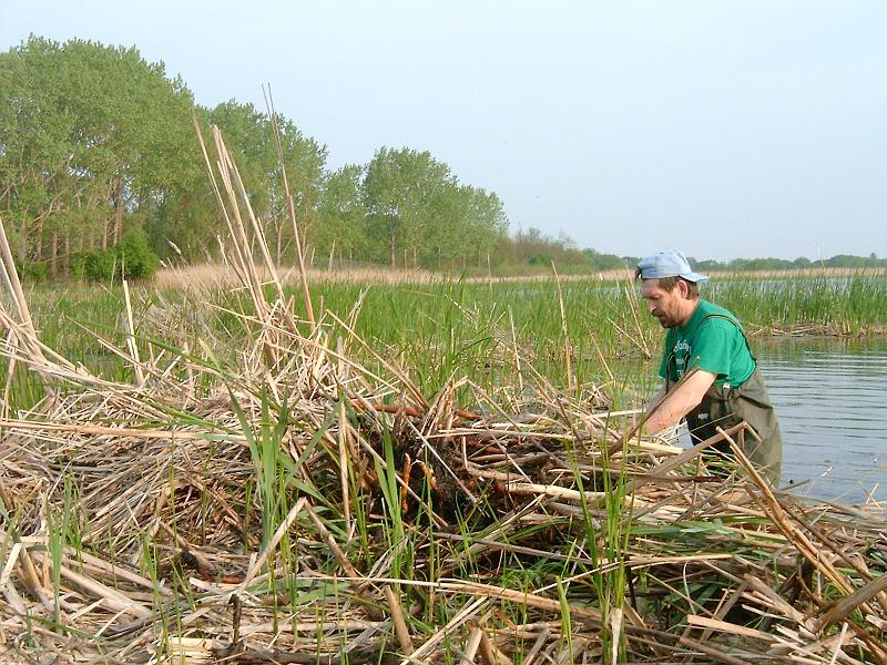 20110427 005.jpg